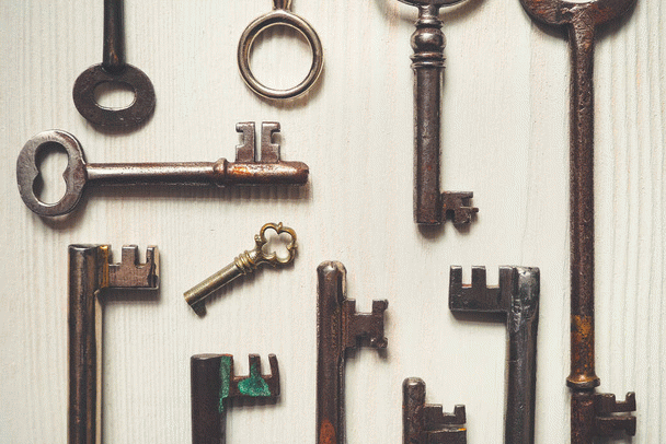 دیستمپر سگ ها: قاتل خاموش توله سگ ها