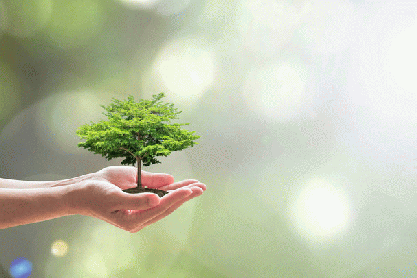 environment-محیط زیست