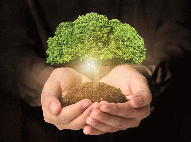 environment-محیط زیست